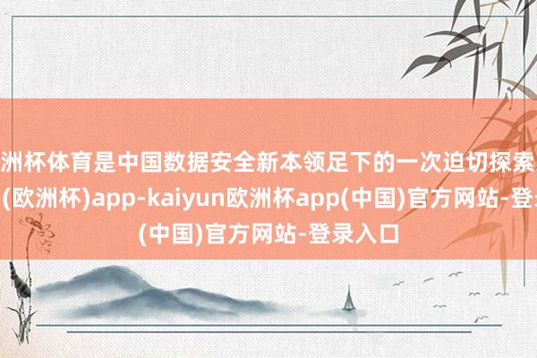 欧洲杯体育是中国数据安全新本领足下的一次迫切探索-kaiyun(欧洲杯)app-kaiyun欧洲杯app(中国)官方网站-登录入口