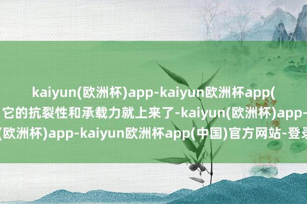 kaiyun(欧洲杯)app-kaiyun欧洲杯app(中国)官方网站-登录入口它的抗裂性和承载力就上来了-kaiyun(欧洲杯)app-kaiyun欧洲杯app(中国)官方网站-登录入口