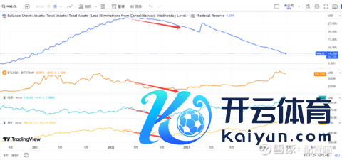 欧洲杯体育该文献综合了对行将刊行的好意思国债券的预期-kaiyun(欧洲杯)app-kaiyun欧洲杯app(中国)官方网站-登录入口