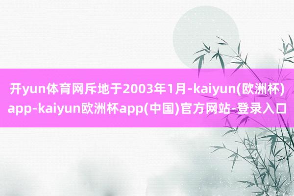 开yun体育网斥地于2003年1月-kaiyun(欧洲杯)app-kaiyun欧洲杯app(中国)官方网站-登录入口