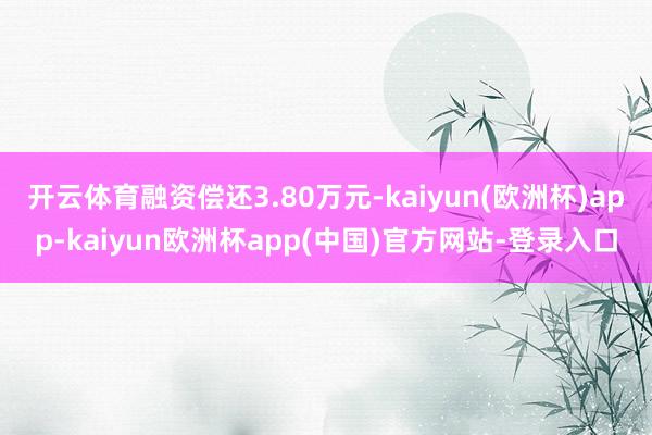 开云体育融资偿还3.80万元-kaiyun(欧洲杯)app-kaiyun欧洲杯app(中国)官方网站-登录入口