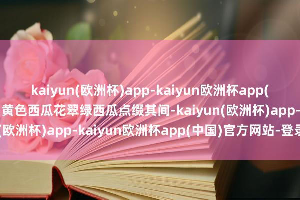 kaiyun(欧洲杯)app-kaiyun欧洲杯app(中国)官方网站-登录入口黄色西瓜花翠绿西瓜点缀其间-kaiyun(欧洲杯)app-kaiyun欧洲杯app(中国)官方网站-登录入口