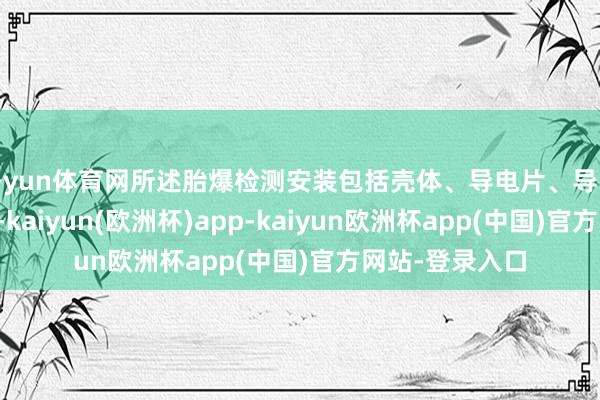 开yun体育网所述胎爆检测安装包括壳体、导电片、导电挡片和弹性件-kaiyun(欧洲杯)app-kaiyun欧洲杯app(中国)官方网站-登录入口