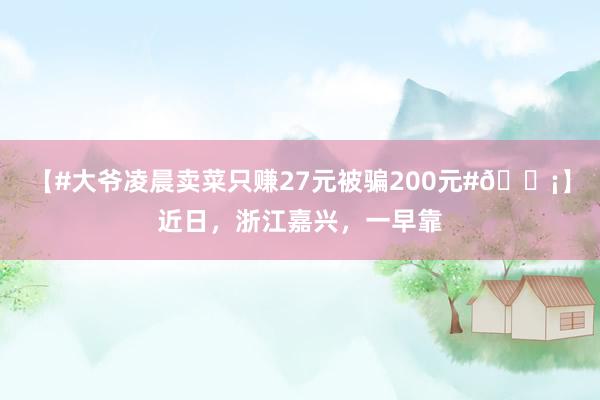 【#大爷凌晨卖菜只赚27元被骗200元#😡】近日，浙江嘉兴，一早靠