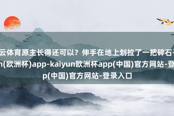 开云体育原主长得还可以？伸手在地上划拉了一把碎石子-kaiyun(欧洲杯)app-kaiyun欧洲杯app(中国)官方网站-登录入口